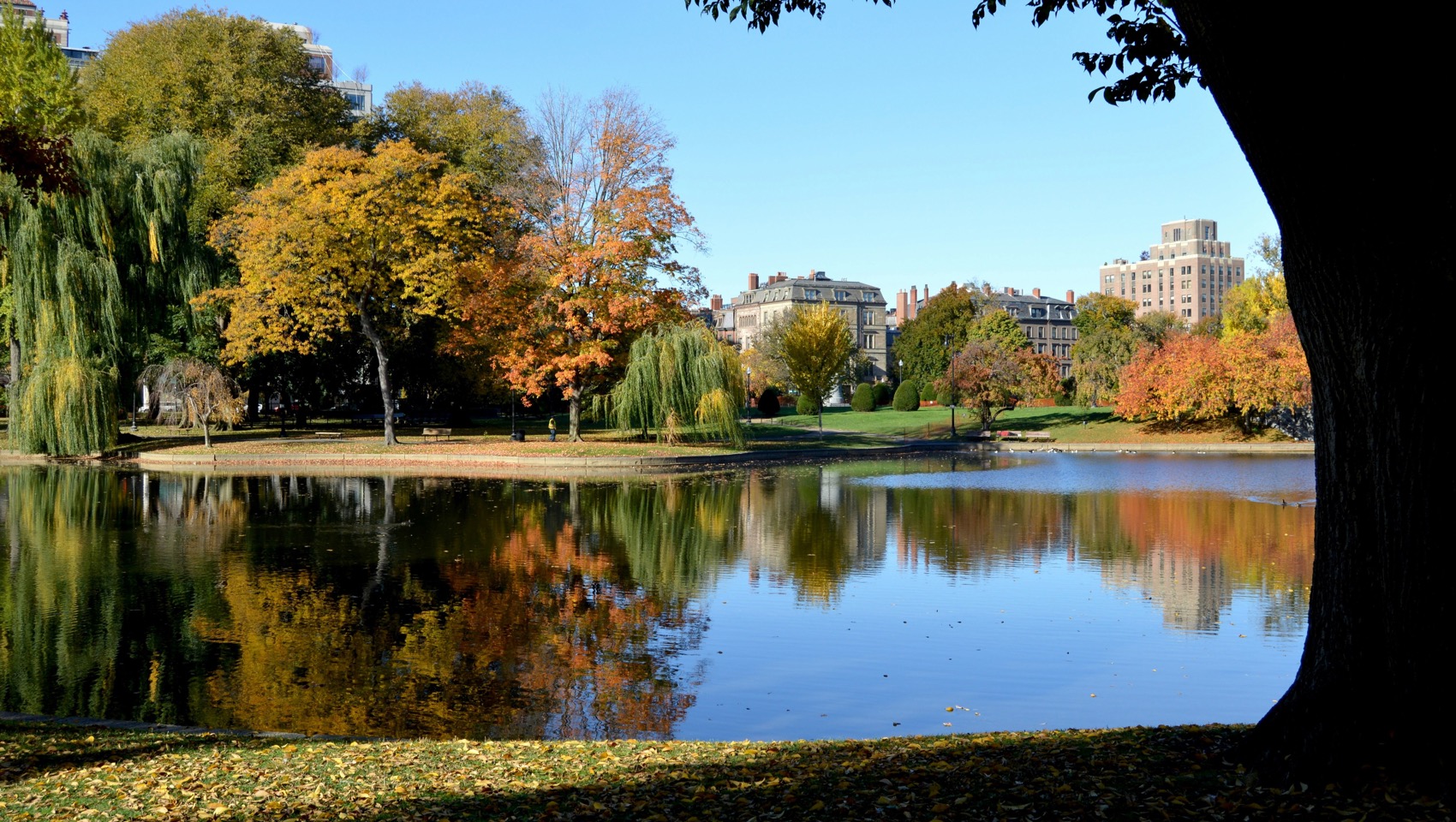 Lake in Cambridge Mass