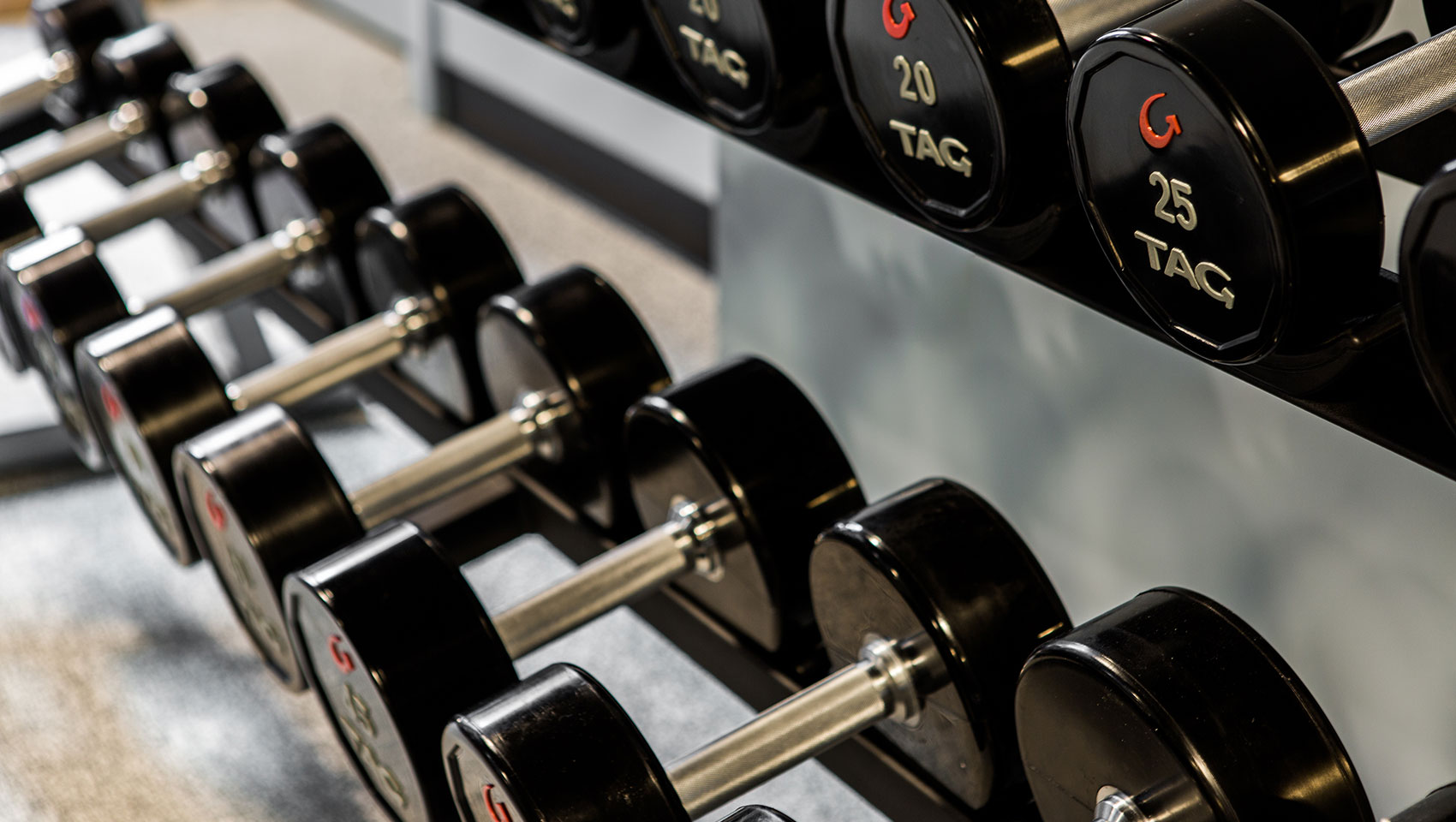 dumbbells on gym rack